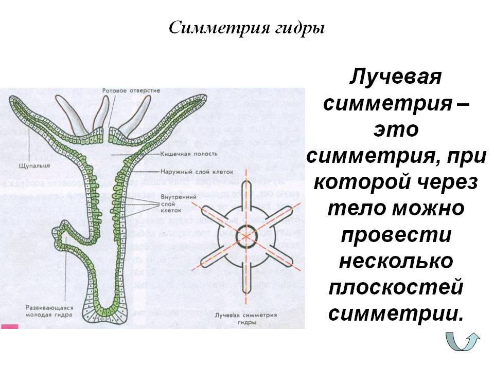 Как выйти на кракен