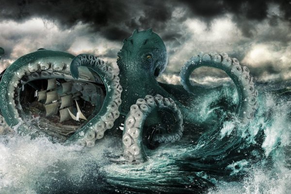 Kraken найдется все