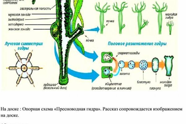 Как выводить деньги с кракена