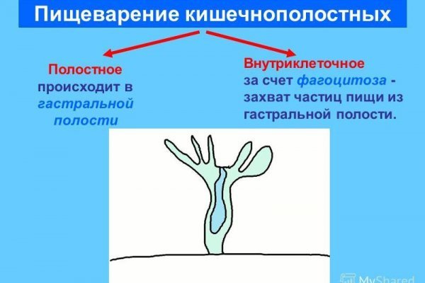 Как вывести деньги с кракена маркетплейс